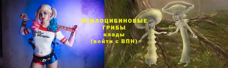 Псилоцибиновые грибы Magic Shrooms  Мирный 